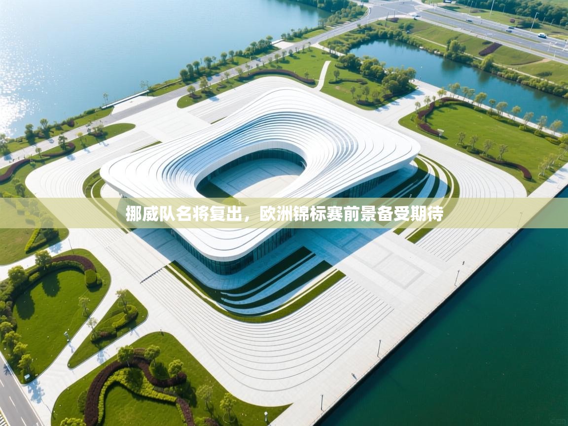 蓝鲸体育网页版-挪威队名将复出，欧洲锦标赛前景备受期待  第4张