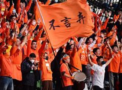 球队团结齐心，球迷助威场上胜利喜人的简单介绍