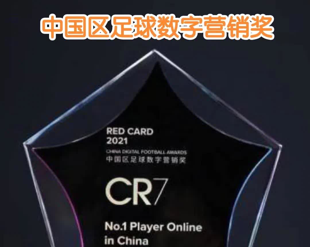 广发体育官网官网-意甲球员个人荣誉加身，技术威力尽显的简单介绍