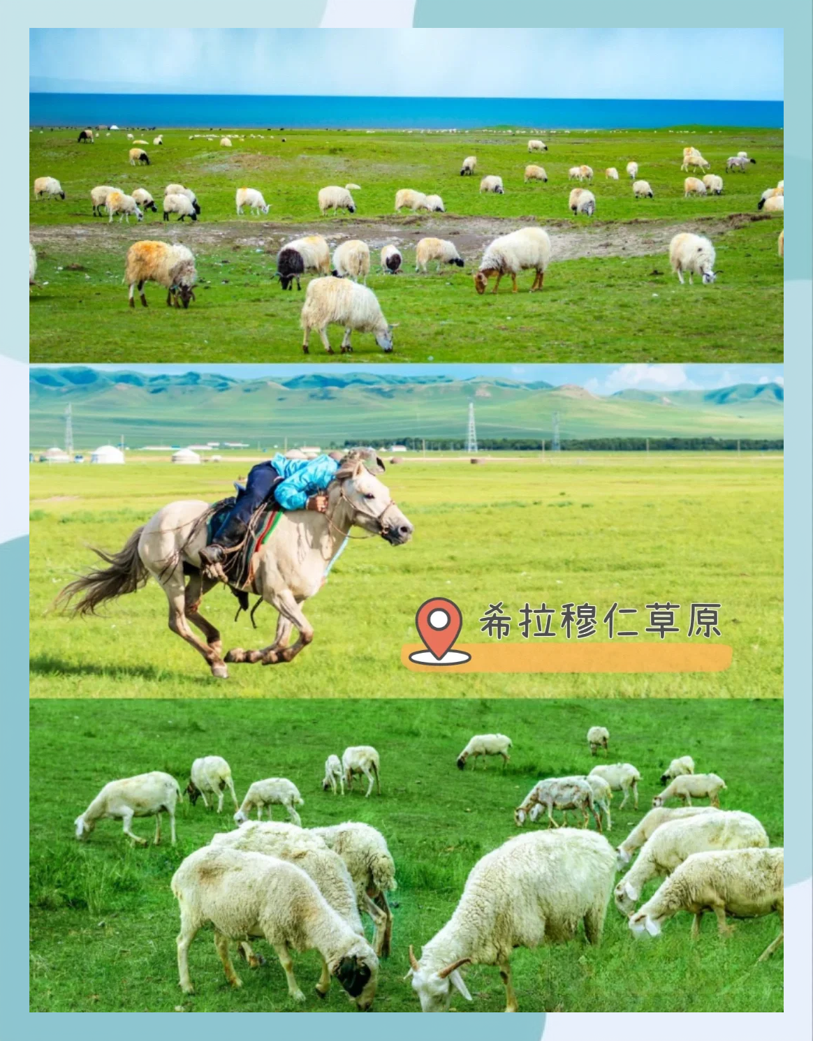 广发体育app官方下载-鄂尔多斯大草原豪取五连胜，士气高昂的简单介绍
